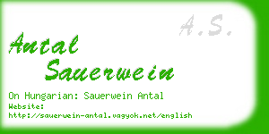 antal sauerwein business card